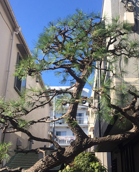 施工事例